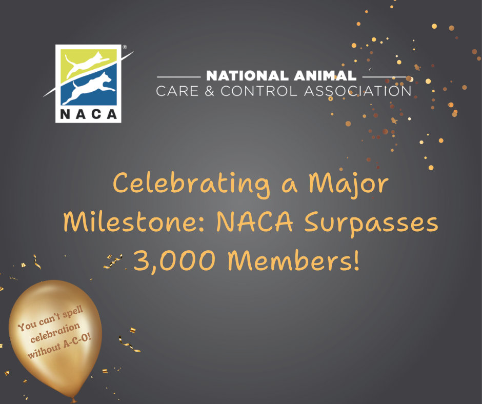 3000 Membership Milestone